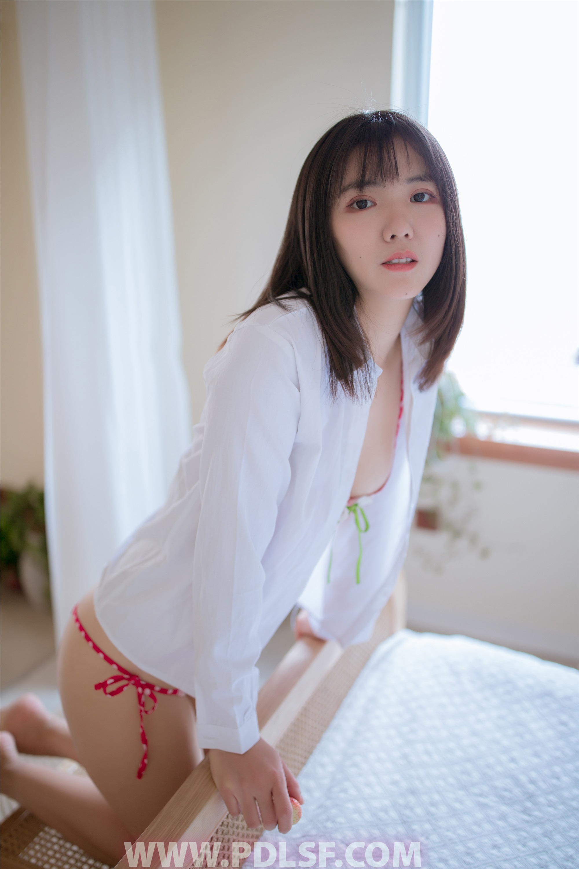 PDL潘多拉 2019.12.24 专辑No.257